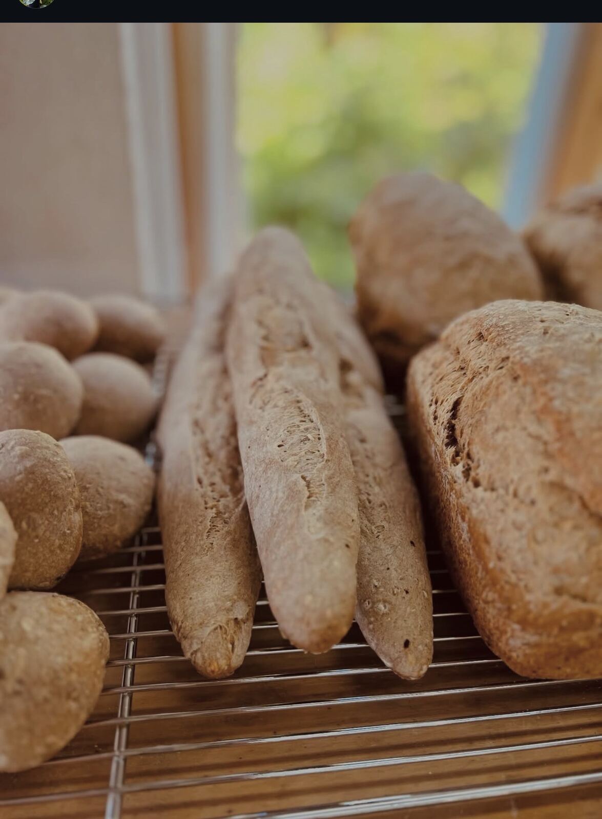 Sourdough baguettes and rolls on cooling rack