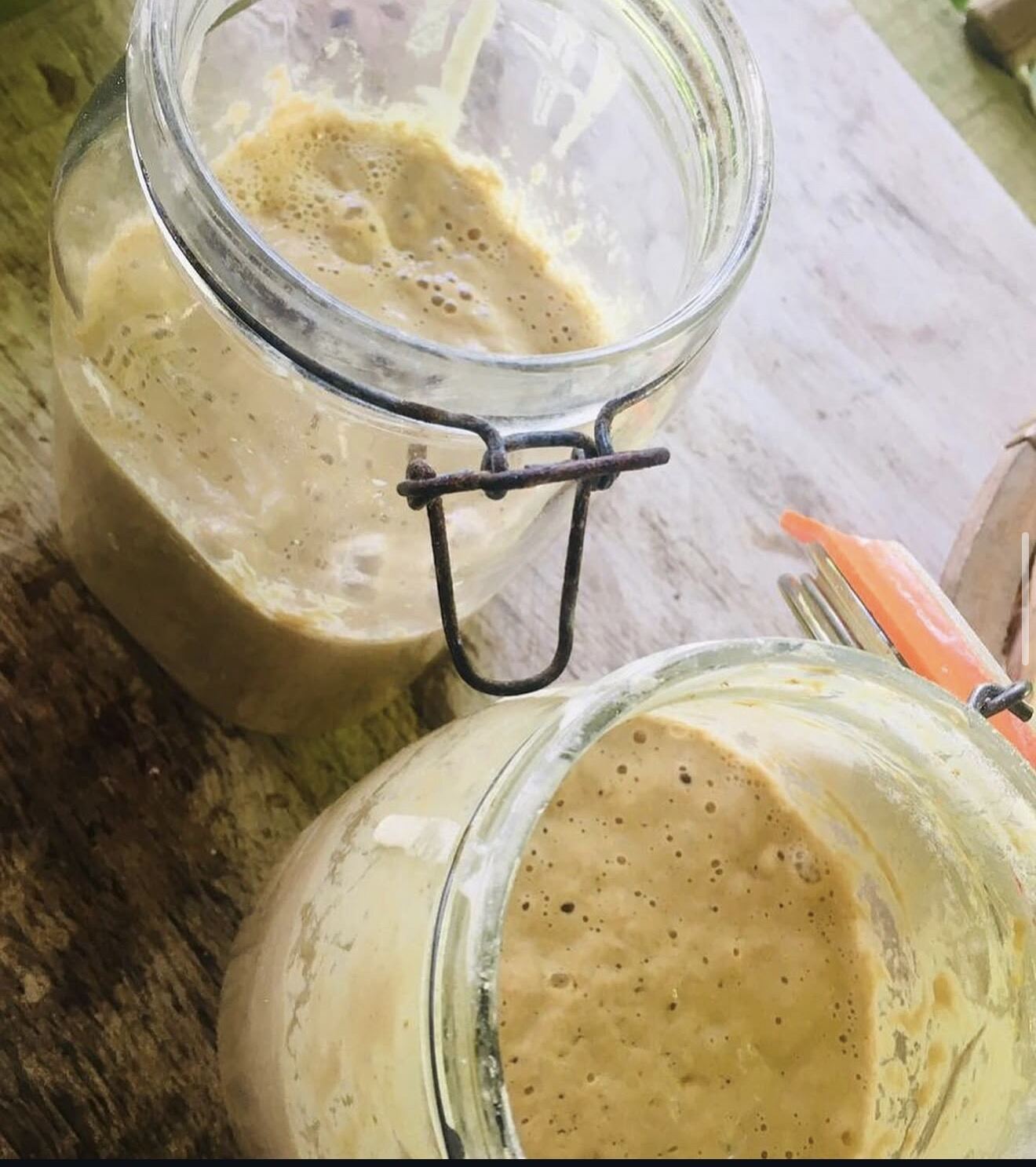 Bubbling sourdough starter in glass jars